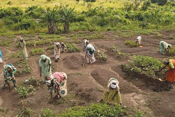 WOMAN FARMER ACTIVIST JOINS GOVERNMENT, PLEDGES TO GET FOR WOMEN AND YOUTH THE RIGHT GOVERNEMNT PATRONAGE