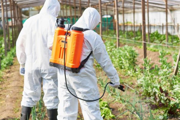 NAFDAC ENGAGES FARMERS ON SAFE USE OF AGRICULTURAL CHEMICALS