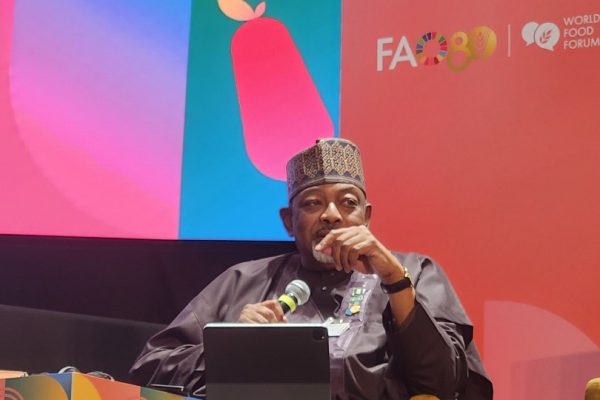 WORLD FOOD FORUM: FG SAYS ITS SUBSCRIPTION TO SOUTH SOUTH COOPERATION WILL ENHANCE FOOD SECURITY