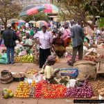FARMERS SAD OVER DROP IN FOOD PRICES AMIDST HIKE IN FARM INPUTS AND INSECURITY