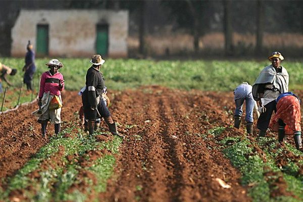 KATSINA STATE TO SET UP FARMERS’ RADIO TO IMPROVE COMMUNICATION WITH FARMERS IN THE STATE